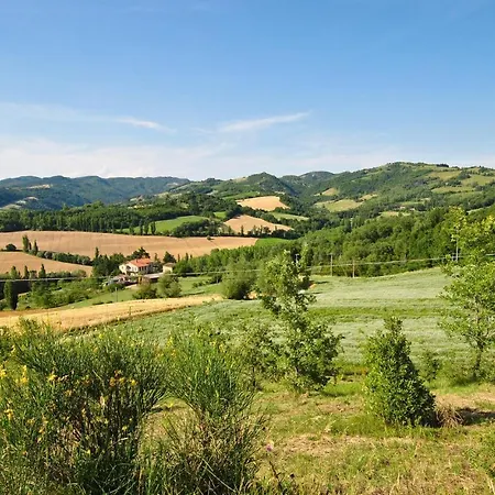 Lovely In With Wifi *